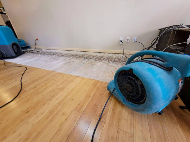 Professional Water Damage Repair technician working in Canfield, OH